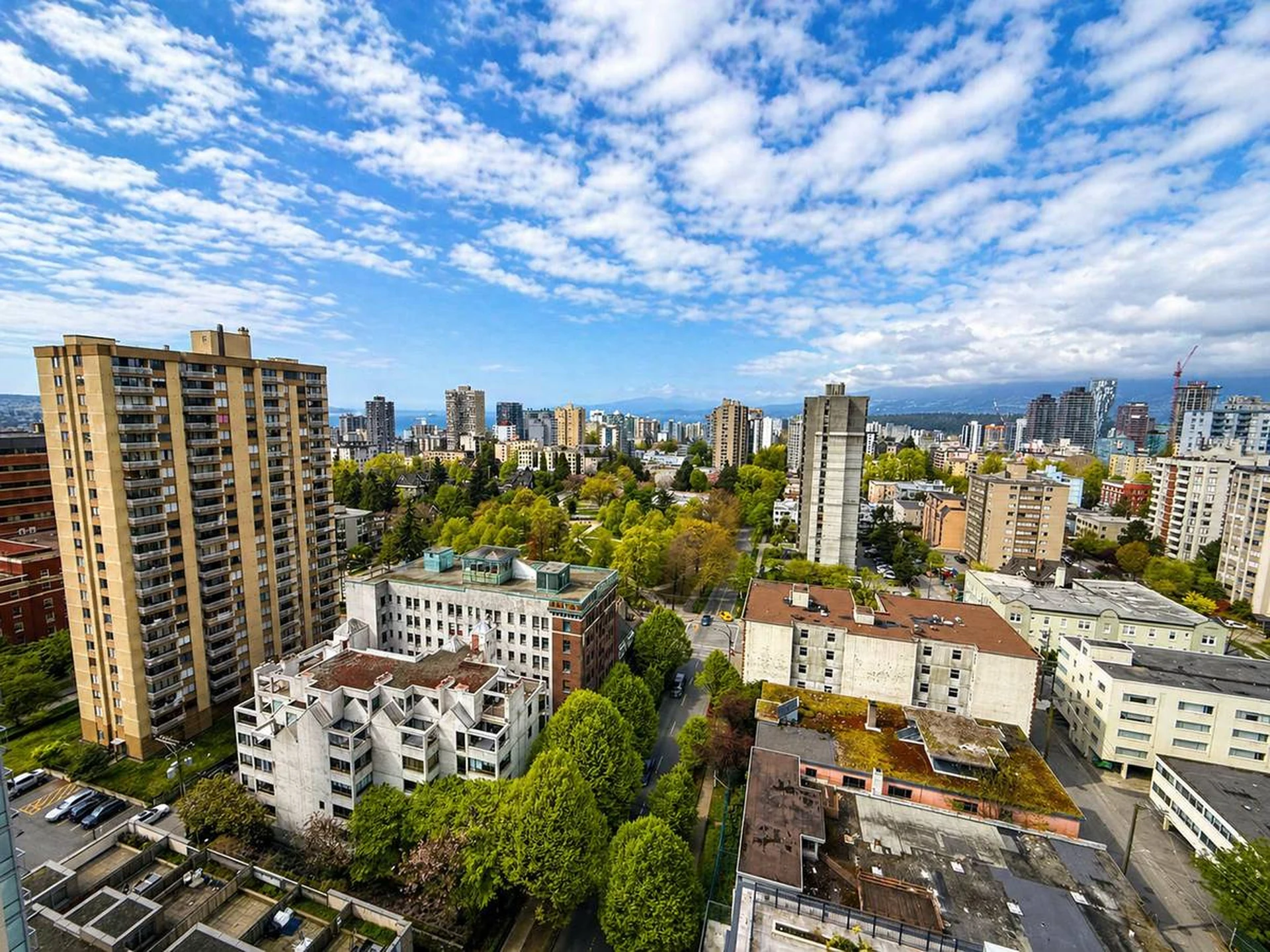 Butterfly, Vancouver — property photos